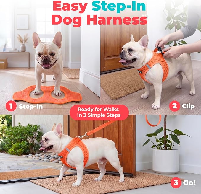 Voyager Step-in Air Dog Vest Harness - Orange, Small | 14.5-16" in Chest, Reflective Bands, All Weather Breathable Air Mesh, Cats Compatible, Lightweight, Fast Drying