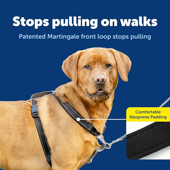 PetSafe 3 in 1 No-Pull Dog Harness - Walk, Train or Travel - Helps Prevent Pets from Pulling on Walks - Seatbelt Loop Doubles as Quick Access Handle - Reflective Accents - Large, Black | Rests on Chest Not Throat to Reduce Pulling, 5 Adjustment Points,...