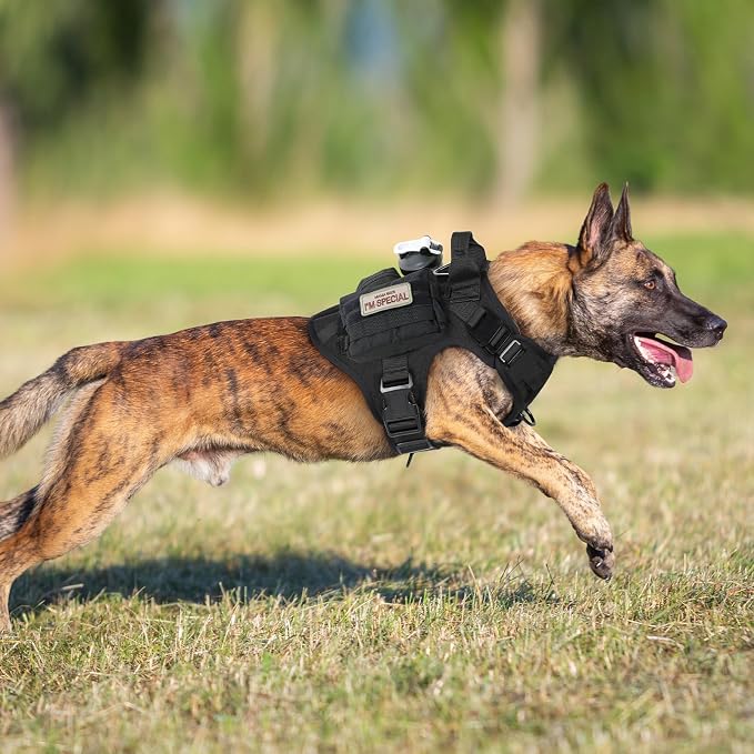 rabbitgoo Tactical Dog Harness for Medium, Heavy Duty Military No Pull Vest | Sturdy Metal Buckles, 5 Adjustments, Molle System, Powerful Pullers for Training, Hunting, Outdoor, Black, Medium