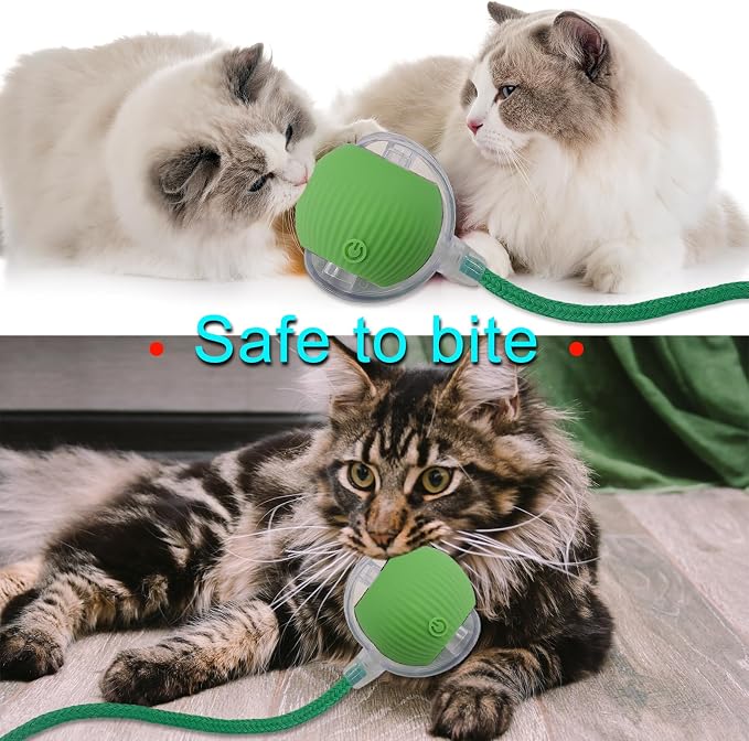 Interactive Cat Dog Toy Ball with LED Light, Automatic Rolling(Green) | String Tail and LED Light Design, Motion Activated, Suitable for Interactive Indoor Pet Play and Exercise