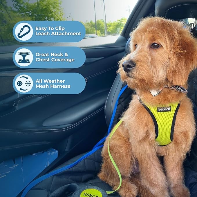 Best Pet Supplies Voyager Step-in Air All Weather Mesh Harness and Reflective Dog 5ft Leash Combo with Neoprene Handle, for Small, Medium and Large Breed Puppies - Lime/Black Trim, X-Large