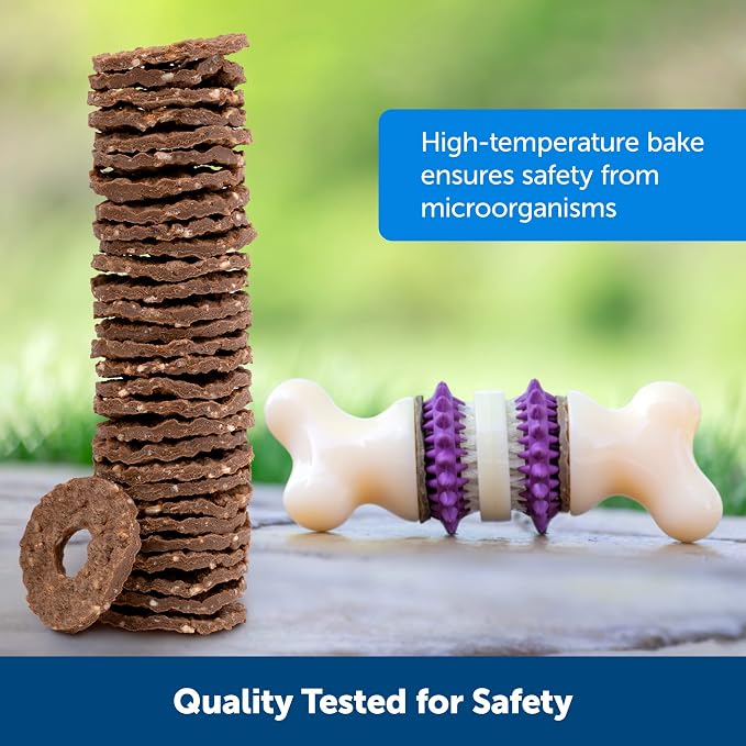PetSafe Treat Rings - 16 Rings - Size B - Original & Busy Buddy Bristle Bone - Treat-Holding Toy for Dogs - Purple, Large
