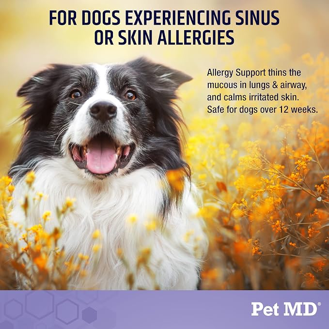 Pet MD Allergy Aid - Dog Allergy Chews with Quercetin & Pumpkin - 60ct