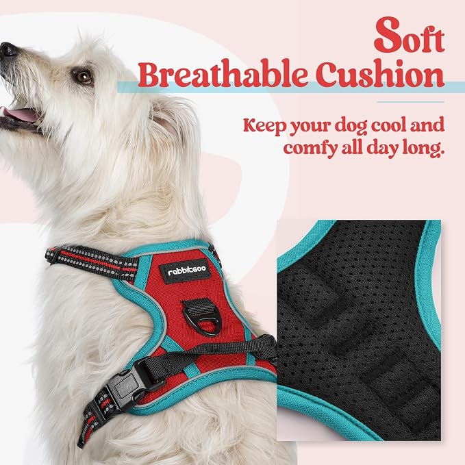 rabbitgoo Dog Harness, No Pull for Small Dogs with 2 Leash Clips, Pet Vest | No Choke with Handle, Adjustable Soft Padded, Reflective, Easy Control for Walking, Red & Teal, X-Small