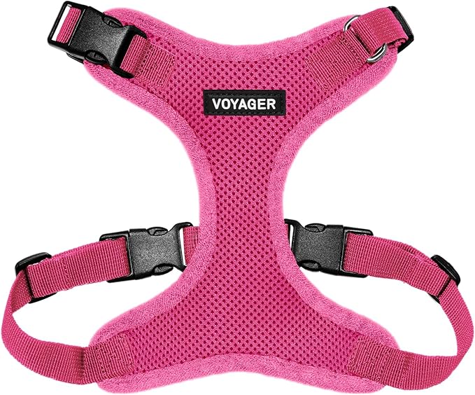 Voyager Step-in Lock Dog Harness - Fuchsia, Large | 20 - 25" in Chest, Adjustable, Breathable Air Mesh, Lightweight for Daily Walks, Strong Clips, Heavy Duty D-Ring