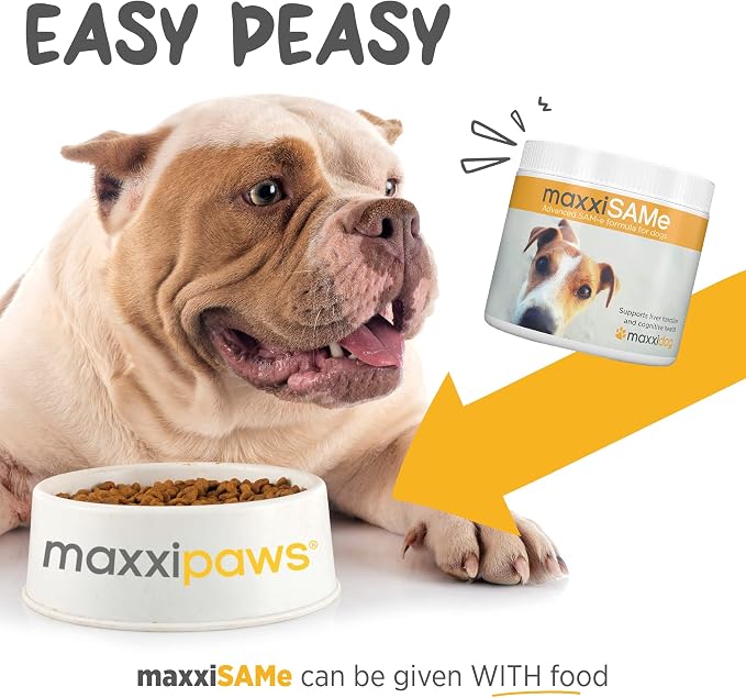 maxxipaws maxxiSAMe SAM-e for Dogs, Liver & Cognitive Support Powder 5.3 oz
