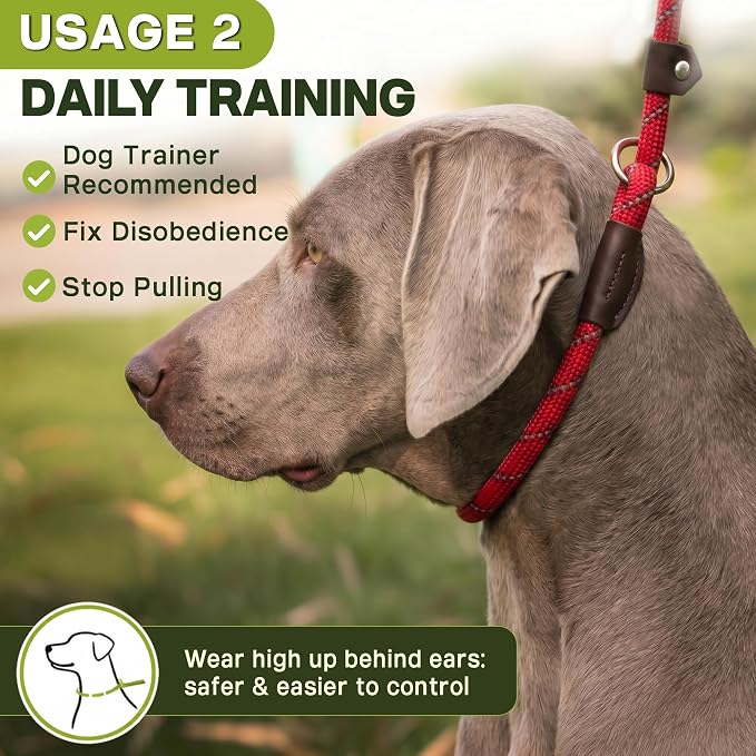Fida Durable Slip Lead Dog Leash, 6 FT x 1/2" Heavy Duty Comfortable Strong Rope Slip Lead for Large, Medium Dogs, No Pull Pet Training Leash with Highly Reflective, Red