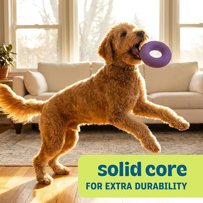 Flex-Force Ring Dog Toy for Fetch & Chew, Solid Core & Floats in Water, Vanilla-Roast Scent for Sensory Play, Power Chewers, All Breed Sizes, 4.6"