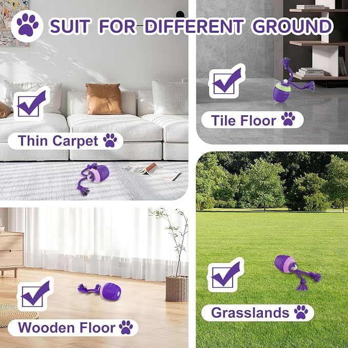 Interactive Dog Toy, [Newly Upgraded] Motion Activated Rolling Ball for Small Dogs, Automatic Moving Dogs Ball for Boredom, USB Rechargeable(Purple)