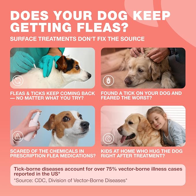 Dog Flea & Tick Chews – Oral Chewable Flea and Tick Prevention for Dogs