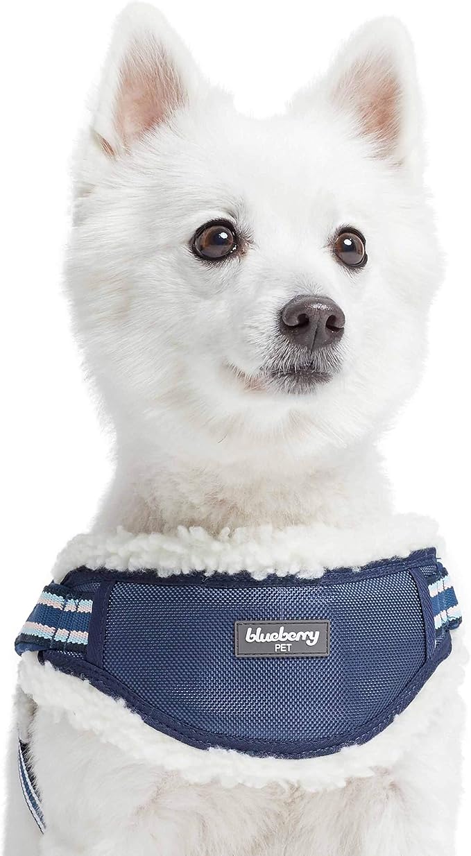 Blueberry Pet Soft & Comfy Multi-Colored Stripe Fleece Padded Chest Dog Harness, Chest Girth 20.5" - 26", Blue, Medium, Adjustable No Pull Training Harness for Dogs
