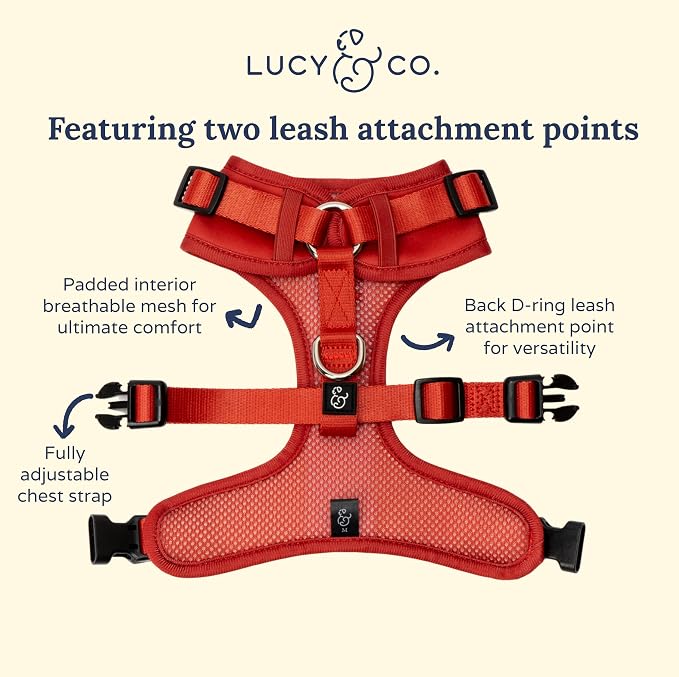 Lucy & Co. The Bolt of Lightning No-Pull Dog Harness for Dogs – Vest to Stop Pulling & Walk Easy – Comfortable Leash Training Product w/Adjustable Chest & Neck Straps - Bright Red - Large