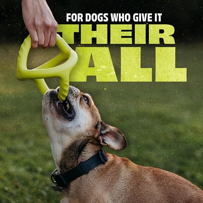 Benebone Natural Rubber Tug Interactive Dog Toy, Natural Rubber | Natural Rubber, Tough for Tug-of-War, Builds Bond, Grip Without the Nip, Dishwasher Safe, Long-Lasting