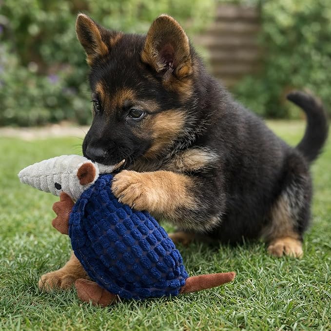Hollypet Armadillo Squeaky Puppy Dog Toys for Small Medium Dogs, 8" | plush stuffed small dog squeak animal toy with unique grunt squeaker textured fabric for teeth cleaning toys
