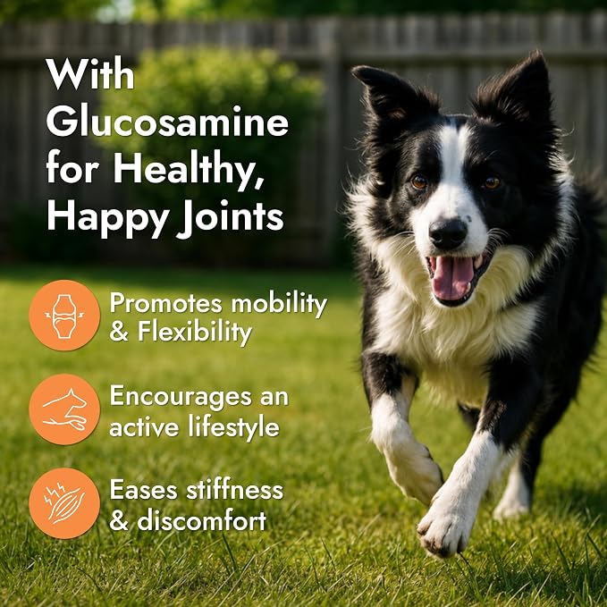 Pet Vet Hip & Joint Supplement for Dogs Glucosamine Beef Liver 60 Chews