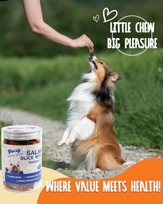 PAWUP Salmon Dog Treats, Smoked Salmon Jerky with Skin, 12.5 oz