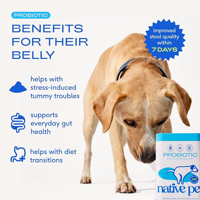 Native Pet Goat Milk & Probiotic Powder Bundle - 60+30 Scoops