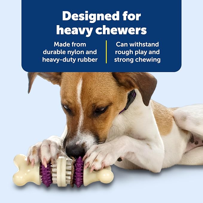 PetSafe Busy Buddy Bristle Bone Dog Treat Holding Chew Toy, Medium | Toothbrush-In-A-Toy Design Helps Clean Teeth While Dog Chews, Holds Treat Rings, Durable, Interactive Play, for Dogs 25-50 Lb