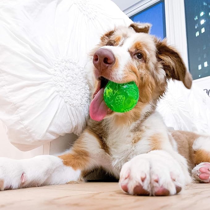 Hyper Pet DuraSqueak Dog Ball Toys (Interactive Toy that Float & Squeak) Squeaky Toys & Dog Balls for Playing, Fetching & Retrieving-Great Alternative to Traditional Tennis Balls-3.5" | Bold sound effects reward playing and retrieving, a fresh alternat...