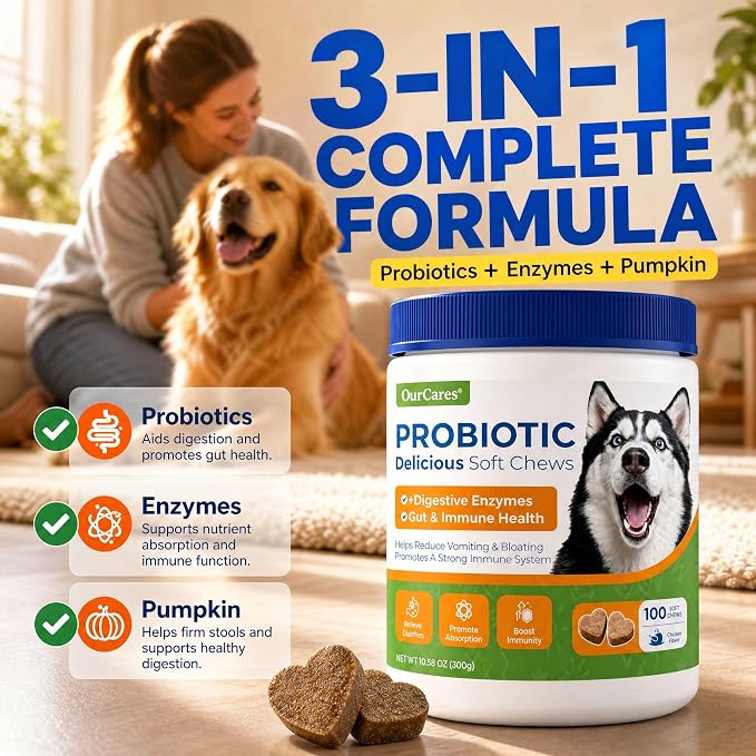 Probiotics for Dogs, Digestive Chews, Pumpkin & Enzymes, 100 Count