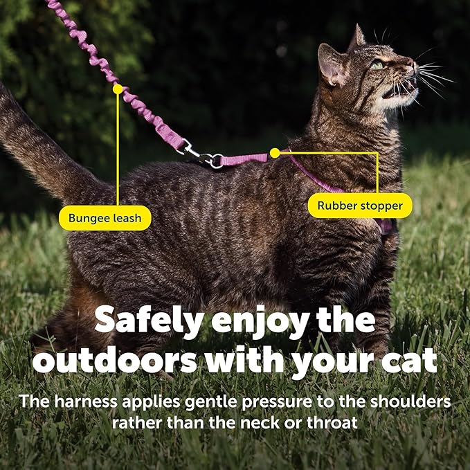 PetSafe Come with Me Kitty Harness and Bungee Leash, Large, Dusty Rose | Adjustable 2-Point Fit Applies Gentle Pressure to Shoulders, Not Neck, for Average and Large Cats with 13 in - 18 in Girth