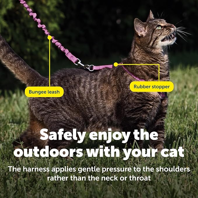 PetSafe Come with Me Kitty Harness and Bungee Leash, Small, Dusty Rose | Adjustable 2-Point Fit Applies Gentle Pressure to Shoulders, Not Neck, for Kittens and Small Cats with 9 in - 11 in Girth