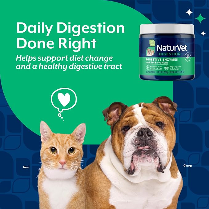 NaturVet Digestive Enzymes with Pre & Probiotic for Dogs & Cats - 8 oz | Supports Diet Changes & a Healthy Digestive Tract with Prebiotics, Powder