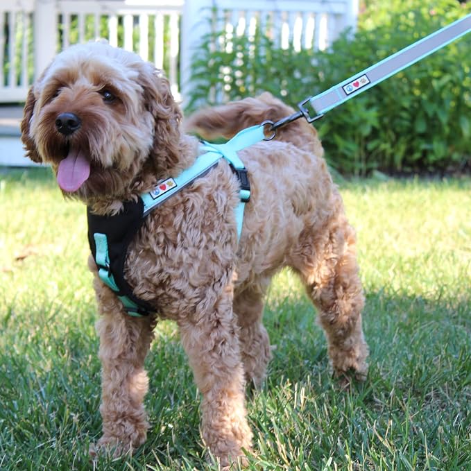 Pawtitas Reflective Padded Dog Harness for Large Dogs – Adjustable Step-in Vest | Fits Chest 27–33 in | No Pull Training Harness | L | Orchid