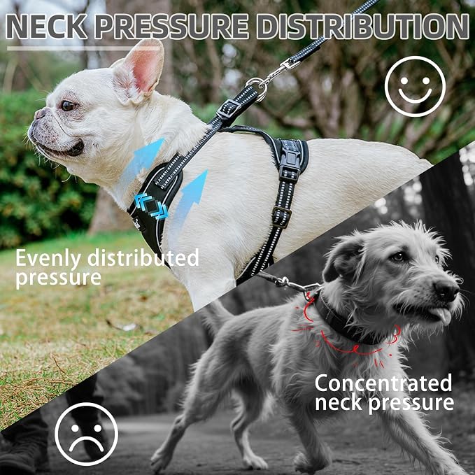 PUPTECK Dog Harness and Leash Set Small Sized, Adjustable Reflective Escape Proof Puppy Vest, No Pull Walking Harness Easy Control