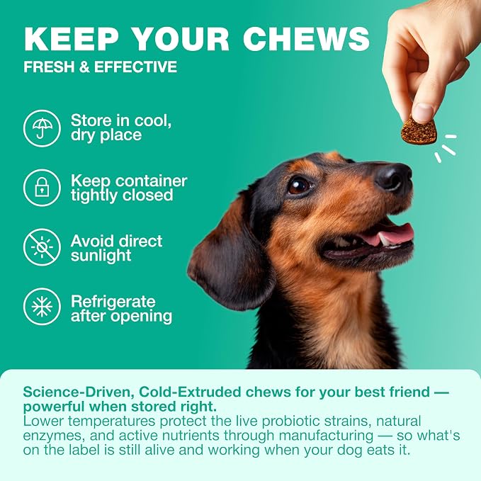 Probiotics for Dogs Gut & Digestive Health, Itchy Skin & Yeast Support