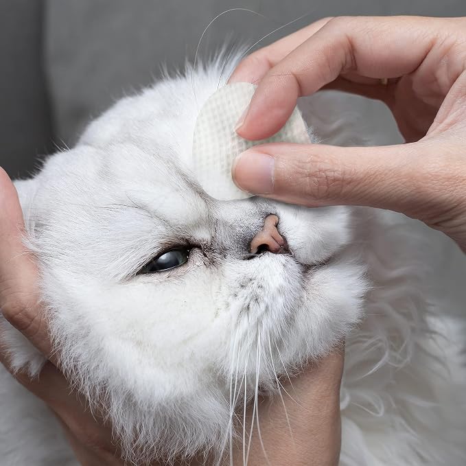 Eye Envy Tear Stain Wipes for Cats, 60 Count