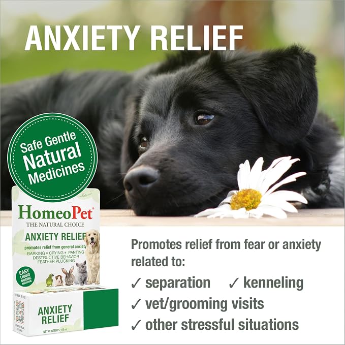 HomeoPet Anxiety Relief