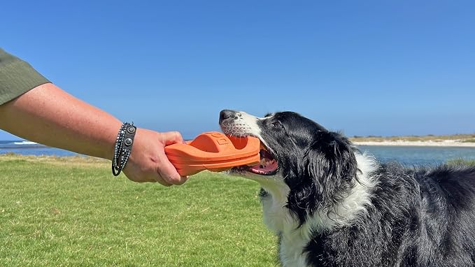 Van Ness Pets Doggi Catch and Carry Flying Disc, Large, Orange, 2-Pack