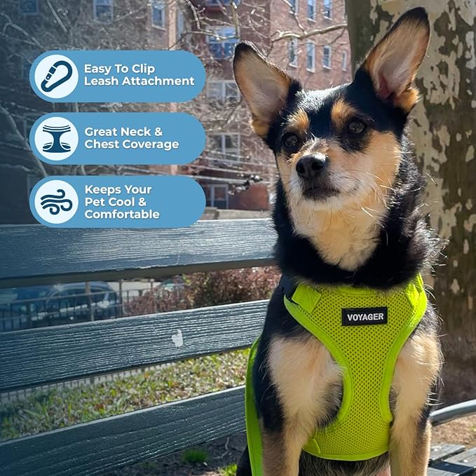 Best Pet Supplies Voyager Step-in Lock Pet Harness w Reflective Pet Leash Combo Set with Neoprene Handle 5ft - Supports Small, Medium and Large Breed Puppies/Cats - Lime Green Set, L