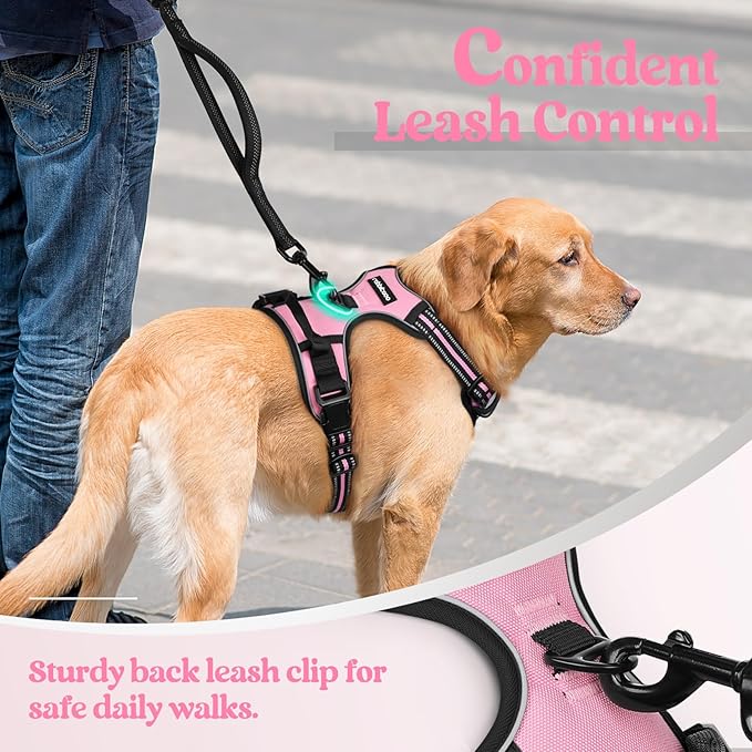 rabbitgoo Dog Harness, No Pull Medium Sized with 2 Leash Clips, Pet Vest | No Choke with Handle, Adjustable Soft Padded, Reflective, Easy Control for Walking, Pink, Medium