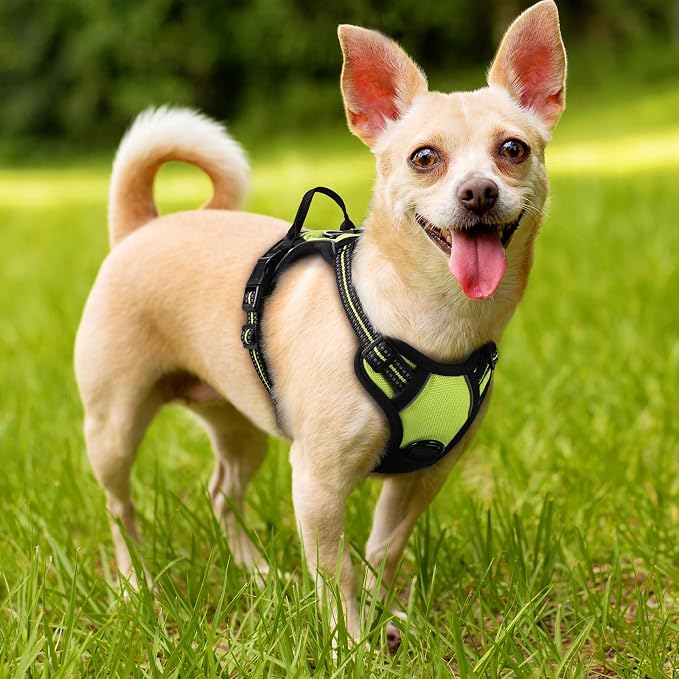 rabbitgoo Dog Harness No Pull with 2 Leash Clips, Adjustable Soft Padded, Reflective Oxford No Choke Pet Vest with Easy Control Handle for Puppy, Green, XS | No Choke with Handle, Adjustable Soft Padded, Reflective, Easy Control for Walking, Wild Lime,...