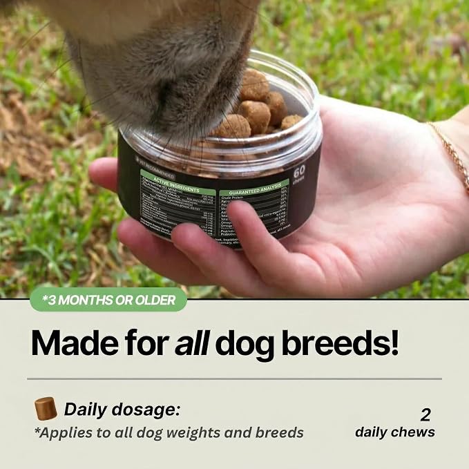 Dog Multivitamin Chews | Daily Probiotic, Hip & Joint, Allergy & Immune Support | Healthy Dog Treats for All Breeds & Sizes | Soft Chews with Glucosamine, Salmon Oil & Probiotics | 60 Ct