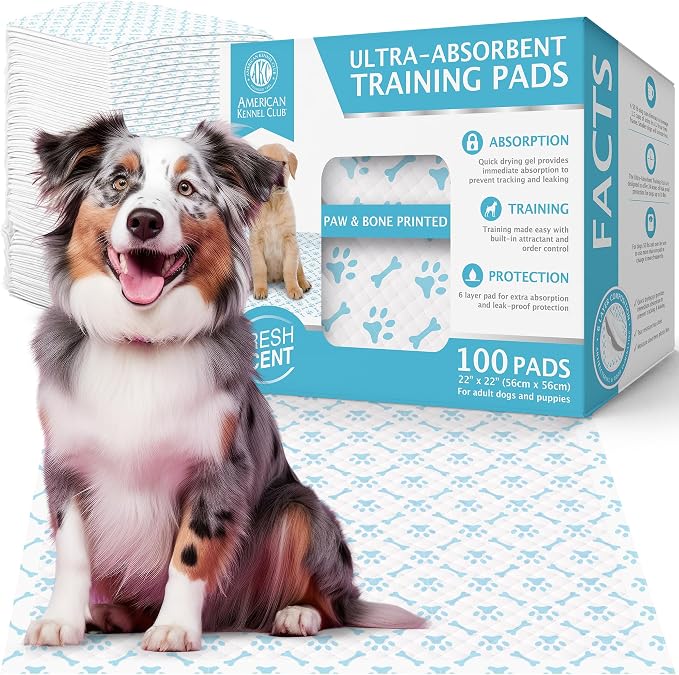 American Kennel Club Paw and Bone Training Pads for Dogs, 100 Count, 22" X 22" Fresh Scented, Absorbent Leak-Proof Dog Pee Pads in Box,Blue