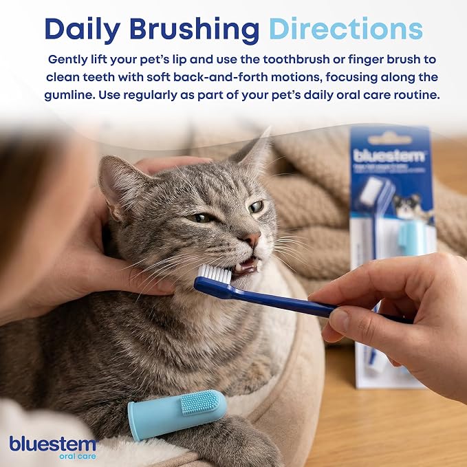 Bluestem Toothbrush and Finger Brush (Brush Set)