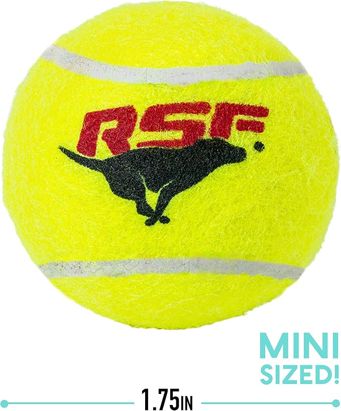 Franklin Sports Ready Set Fetch Mini Squeaker Tennis Ball - 12 Pack | Fun Noise-Making Feature, Tough + Durable Build, Great For Active Playtime, Ideal For Small Breed Pets
