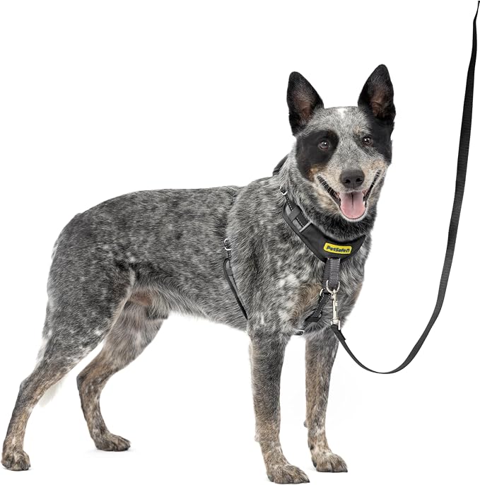 PetSafe Easy Walk Comfort No Pull Dog Harness, Black, Medium | Stops Pulling on First Use with Front Martingale Loop, Full-Body Padding, 5-Point Adjustable Fit