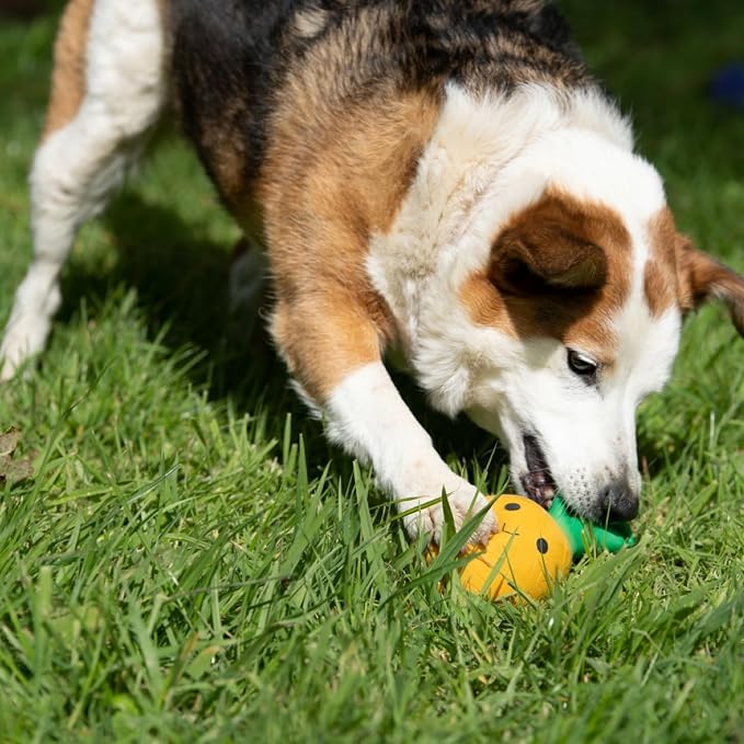 Petface Large Latex Pineapple Soft Chew Dog Toy (Pack of 1) | Interactive Play, Squeaker Feature, Durable Latex, Gentle on Teeth