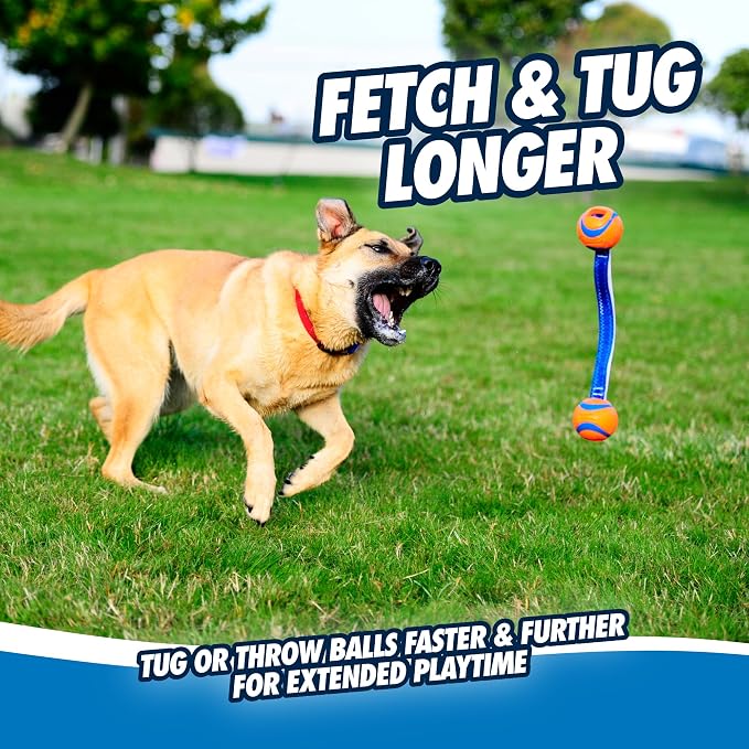 Chuckit! Ultra Duo Tug Dog Toy, Medium 2.5in, Orange and Blue, 20-60lbs | Two Ultra Balls on a Durable Nylon Cord Handle for Fetch and Tug-of-War Play; Made for Breeds 20-60 lbs, in Orange and Blue