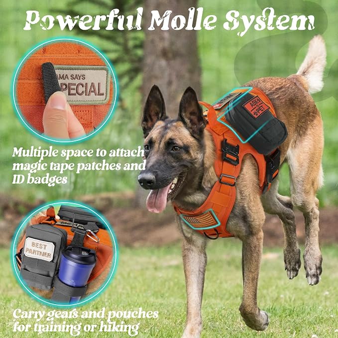 rabbitgoo Tactical Dog Harness for Medium, Heavy Duty Military No Pull Vest | Sturdy Metal Buckles, 5 Adjustments, Molle System, Powerful Pullers for Training, Hunting, Outdoor, Orange, Medium