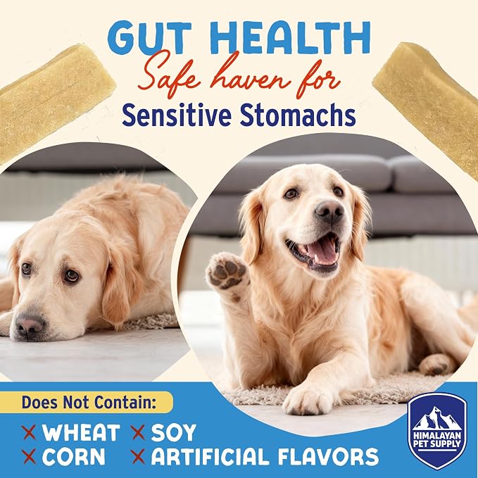 Himalayan Dog Chew Yogurt Sticks, Mixed Flavors, Dog Treats with Prebiotics, Probiotics & Protein, Digestive Support, Lactose & Gluten Free, Natural Dog Treat for All Breeds, Made in America, 4pk