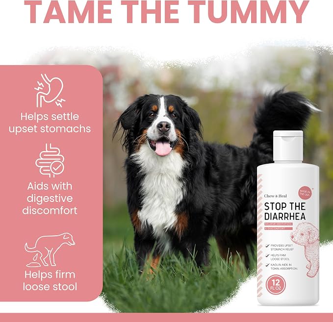 Dog Diarrhea Medicine - 2oz Kaolin Liquid for Upset Stomach Relief