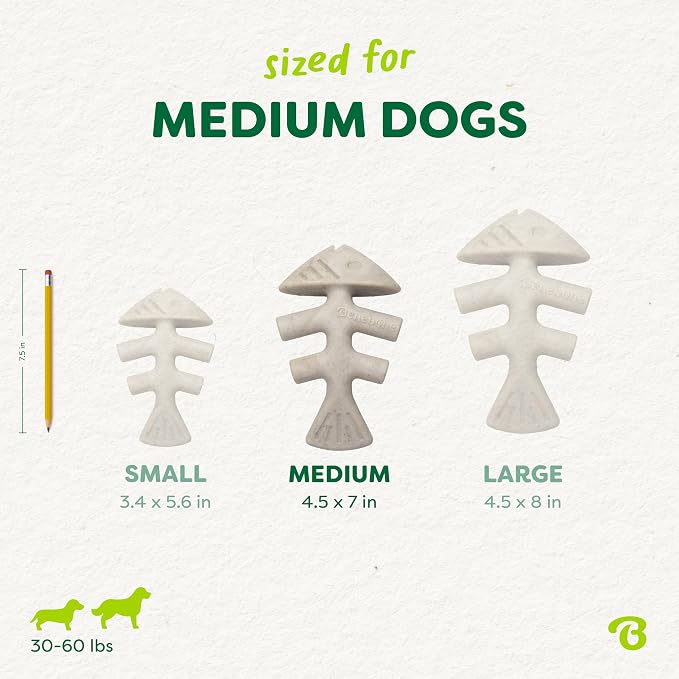 Benebone Plant-Based Fishbone Toy for Modest Chewers, Real Salmon, Medium | For Modest Chewers, Made in USA, REAL Salmon Flavor, Dog Bones