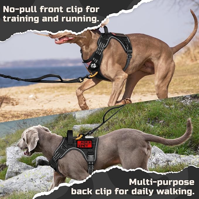 rabbitgoo Tactical Dog Harness for Medium, No Pull Military Service Vest | Molle & Handle, Heavy Duty, Adjustable, Reflective Straps, Easy Control for Training Walking, Black, Medium