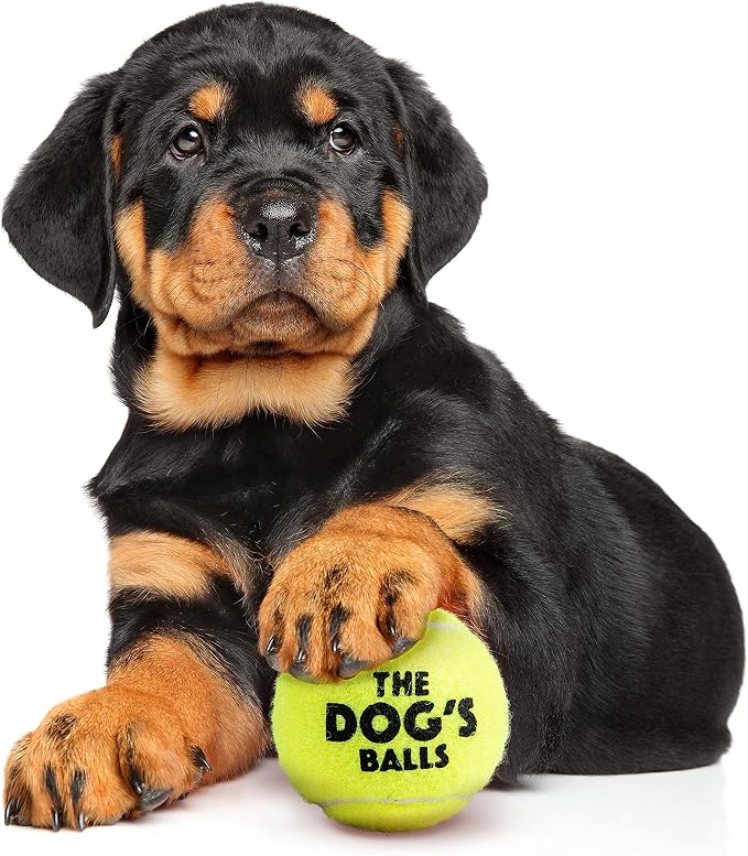 The Little Dog’s Balls Small Dog Tennis Balls 6-Pack Yellow Floats in Water | Our fetch balls combine non-abrasive felt exterior and a thicker rubber core Durable Dog Toy for Outdoor Play & Training