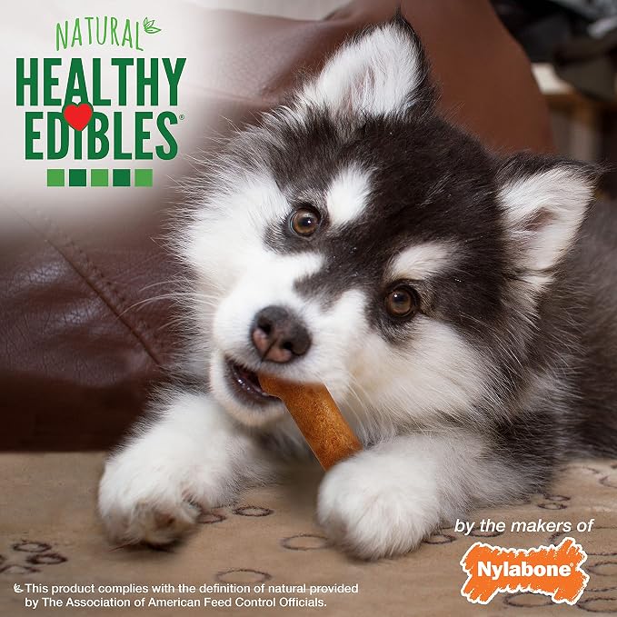 Nylabone Healthy Edibles Natural Puppy Chews Long Lasting Treats for Puppies, Turkey & Sweet Potato Flavor, Small/Regular (3 Count)